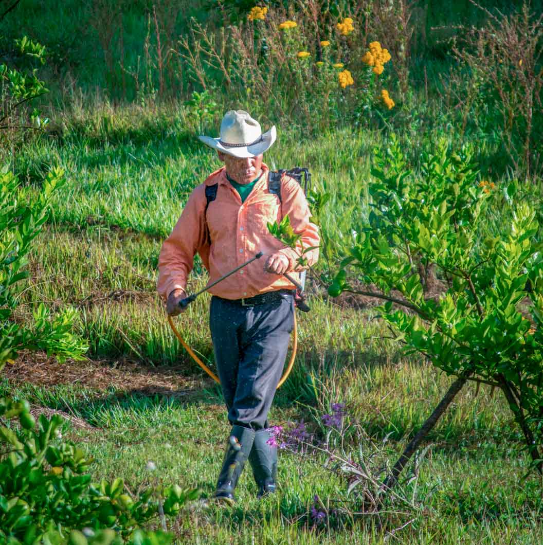 Imagen de Asesoría a productores