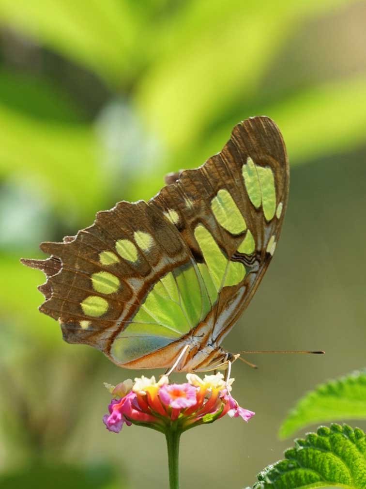 Imagen de Ecoteca