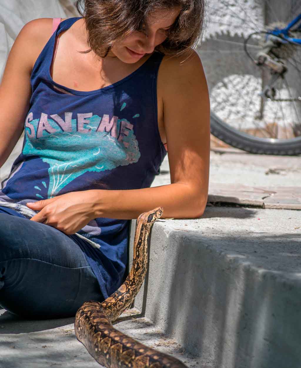 Imagen de Voluntariado